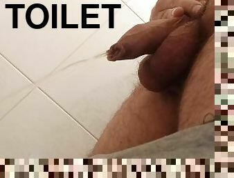 masturbation, pisser, amateur, maison, culotte, toilette, fétiche, solo, bite