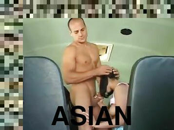 asiatisk, bus