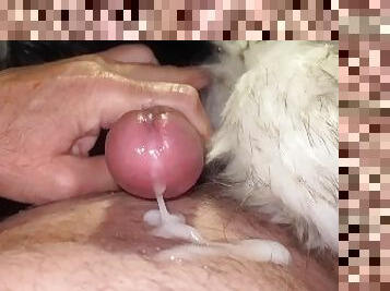 masturbare-masturbation, batran, amatori, matura, jet-de-sperma, cuplu, tanar18, sperma, mai-batran, fetish