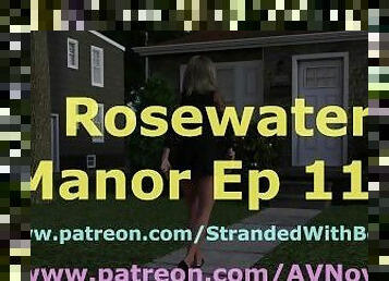 Rosewater Manor 113