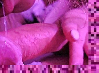 amatori, muie, cuplu, inghitit, pov, sperma, sperma-sperm, fetish, pula