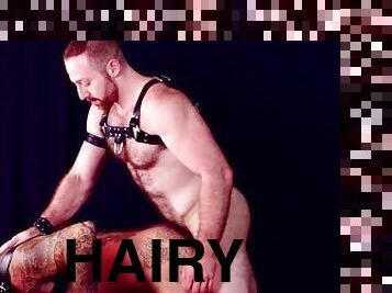 HAIRYANDRAW Hairy Men Scotty Rage And Sean Knight Raw Breed