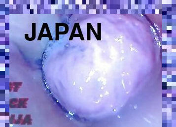 Juicy Japanese pussy endoscope view
