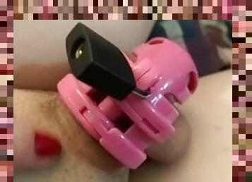 Chastity cage close up