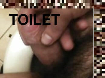 poilue, masturbation, amateur, branlette, toilette, solo, bite