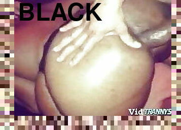 Black ts sex