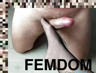 extremo, meia-calça, bdsm, escravo, pés, beijando, fetiche, bolas, amante, domínio-feminino