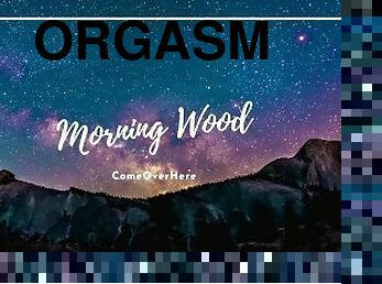 you help me with my morning wood before work  Erotic Audio  ComeOverHere