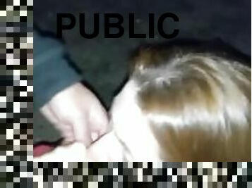 Public blowjob in park at night