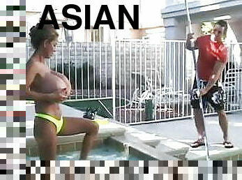 asiatisk, store-patter, kæmpestor, blandede-racer, pool, koreansk, hvid