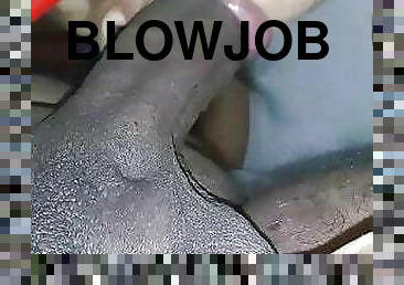 blowjob-seks-dengan-mengisap-penis