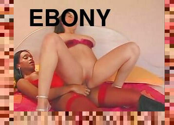 Ebony T-Girl In Lingerie Fucks White Chick