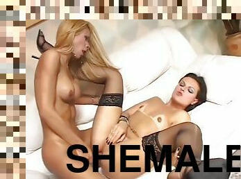 shemale, suihinotto, mälliotos, lesbo-lesbian, blondi