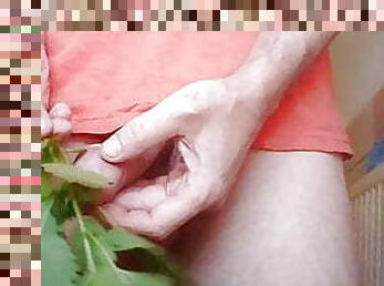 Jens11 Nettle  Precum