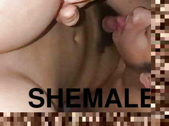 shemale, amatööri, suihinotto, pari, ladyboy, thai, nuori-18, suihinotto-sucking