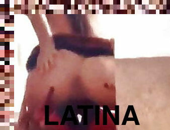 latinska, slyna, bitch