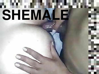 Shemale Slut Video cum