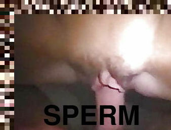 prihaja, sperma