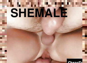 shemale, anal