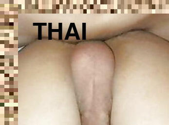 gay, ladyboy, thai