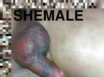 waria-shemale, blowjob-seks-dengan-mengisap-penis, gangbang-hubungan-seks-satu-orang-dengan-beberapa-lawan-jenis, bdsm-seks-kasar-dan-agresif, muda-diatas-18, pakaian-dalam-wanita, seorang-diri, payudara-kecil