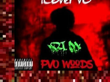 ILovePvO - PvO Woods 1