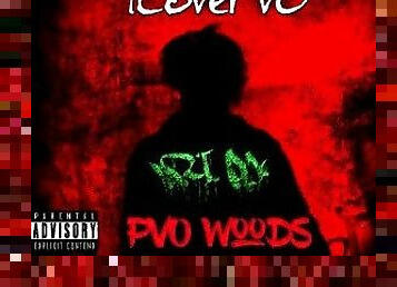 ILovePvO - PvO Woods 5