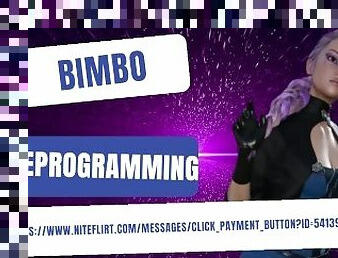 Bimbo Reprogramming Preview