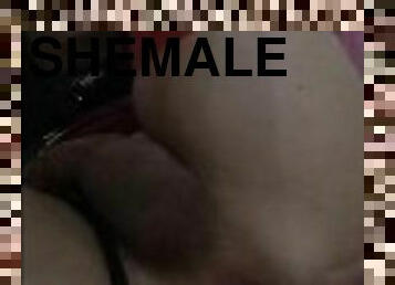 masturbación, transexual, anal, pajeándose, lencería, bonita