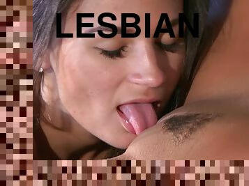 memasukkan-tangan-ke-dalam-vagina, vagina-pussy, sayang, lesbian-lesbian, muda-diatas-18, basah, berambut-cokelat