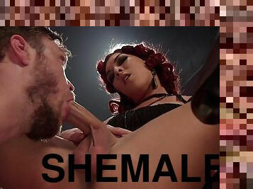 shemale, anaali, suihinotto, kova-seksi, oraali, fetissi, peräreikä, dominointi