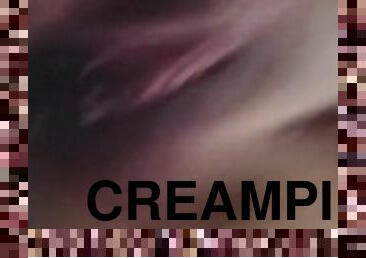 CREAM PIE ???? ????