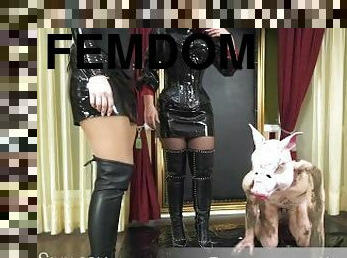 pissing, amatør, pornostjerne, fetisj, latex, ydmykelse, dominans, brunette, støvler, femdom