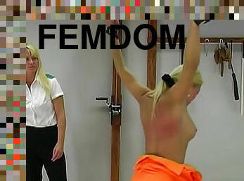 blond, smärta, femdom, smisk