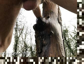 Masturbation in the forest with a hole in a tree trunk