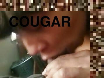 Cougar gums