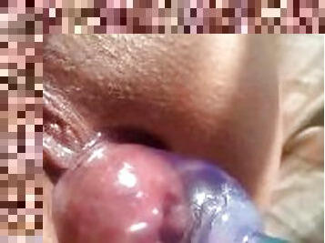 Vacuum anal bloom close up