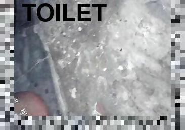 Desi girl pissing in toilet 