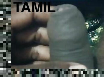 Tamil boy01