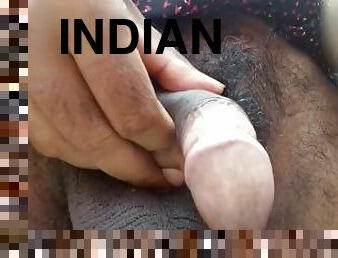 Mayanmandev pornhub  village indian guy video 234