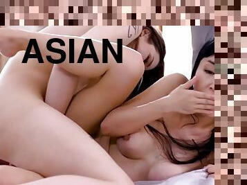 asiático, peluda, cona-pussy, transsexual, babes, chupanços, lésbicas, brinquedo, transsexual-tranny, beijando