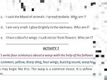 Write four sentence about a wasp Solve by Bikash Edu care