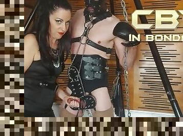 CBT in Bondage - Lady Bellatrix torments the cock and balls of bondage slave