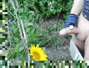 Outdoor guy pollinates a sunflower (OnlyFans Funnyboy_Ger)